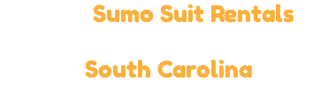 Epic Sumo Suit Rentals for All Sizes in South Carolina